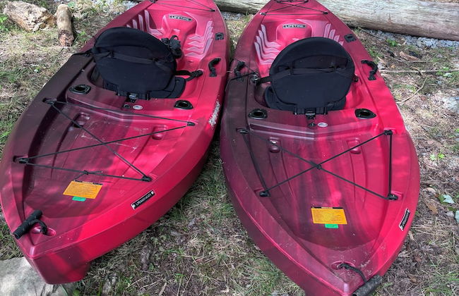 Domes at Catskills - Photo 61