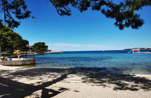 Residence Family Plazina - Place 1 & 2 - Foto 26