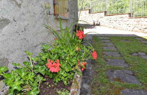 Casa Vacanze IL BOSCACCIO "Casa Massimo" - Foto 27