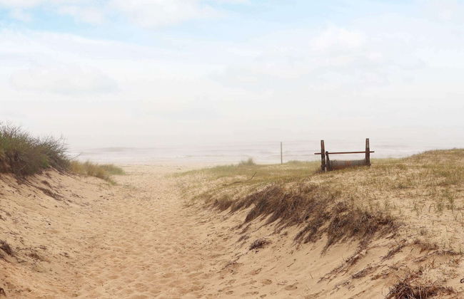 6 Person Holiday Home in Degeberga-by Traum - Foto 9