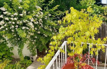 3 bdrm stay! Trippy King Suite by Dwtwn Nwk - Foto 55