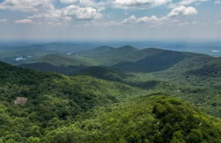 Southern Views - Photo 56