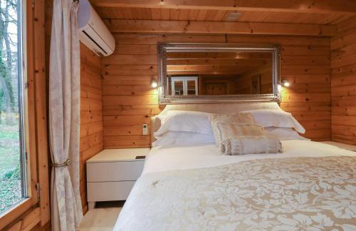 Woodpeckers - Photo 19