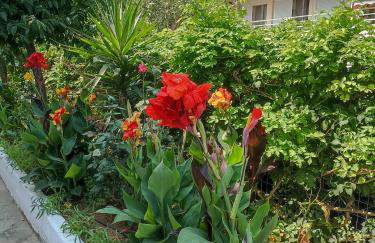 Helena's Apartment 2 Agia Triada - Foto 8