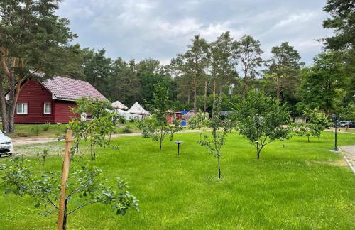 Ferienhaus Eichhörnchen - Photo 26