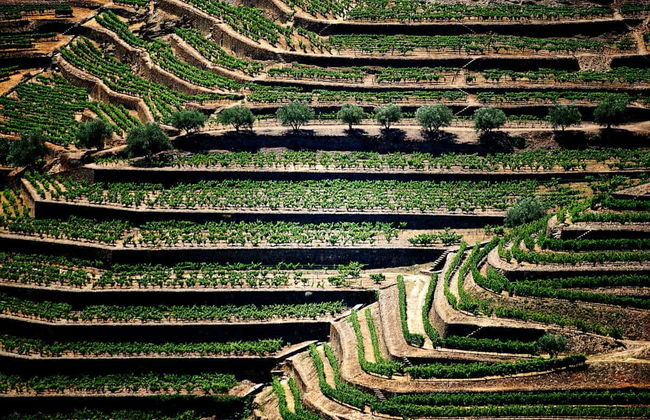 Excursión privada desde Guimarães - Foto 1