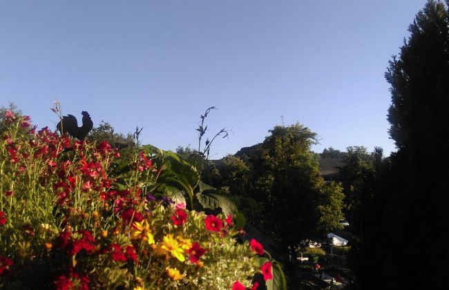 Vibrant Apartment in Willingen With Private Terrace - Photo 40