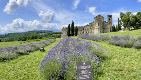 Casa fiordaliso - Foto 3