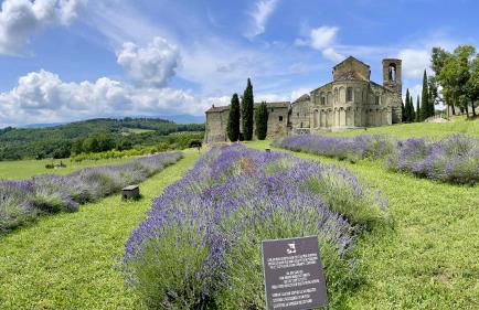 Casa fiordaliso - Foto 3