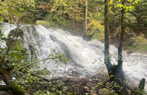 Le colibri au pied des ballons des Vosges - Foto 20