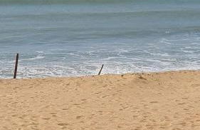 Domaine d'Annégré - Foto 21