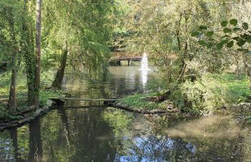 FEWO BEI LEHMANNS - Foto 22