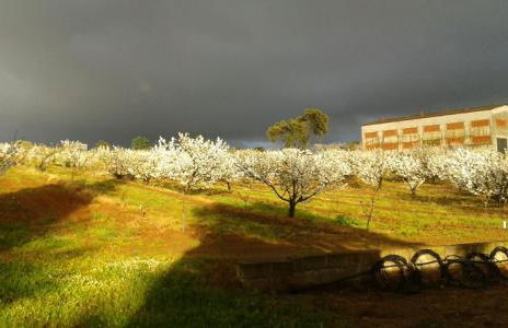 Casa Rural la Vallejera - Foto 83