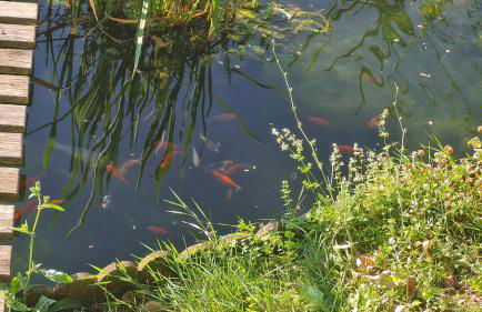 Tana della Lavanda - Photo 49