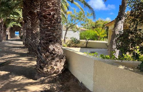 Oceano Azul - Foto 39