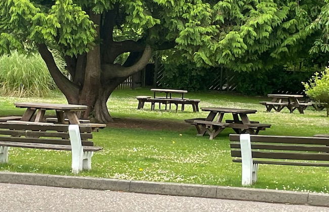 Parkdean Static Caravan on Cherry Tree h - Foto 18