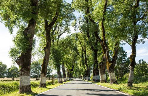 ALENTEJO Mountain Vacation House - Foto 42