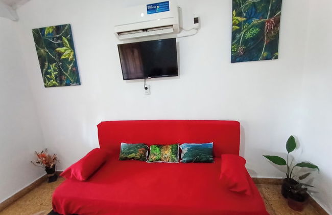 Entre Mangos y Tucanes - Foto 8