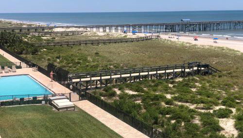 The Pelican - Foto 2