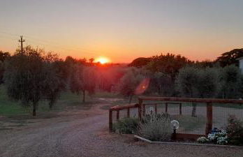 Agriturismo IL VECCHIO OLIVO - Foto 39