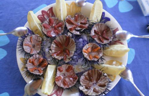 Cosy house by the sea - Foto 59