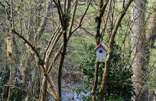 Family Retreat or Romantic Break - Foto 33