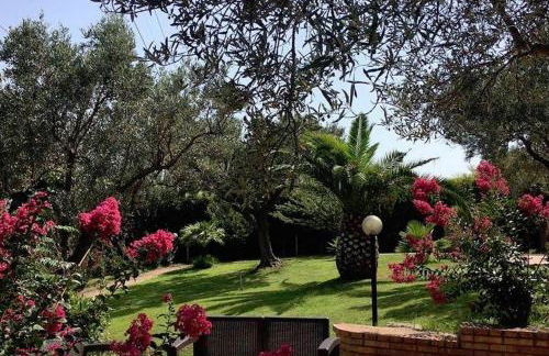 Residence Cassiodoro - Photo 20