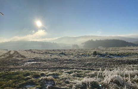 Apartmentanlage am Kellerberg - Photo 47