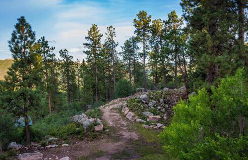 1688 Nusbaum - Combo (Both Homes) - Foto 78