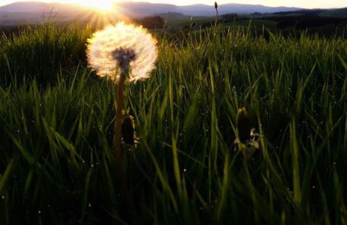 The Hidden Mill, Historic Beauty Spot and spa - Photo 39