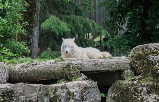 Romantic Stay in Saint-quirin - Foto 23