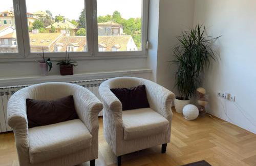 Spacious 3BR/2BT Apartment with A/C in City Center - Photo 2