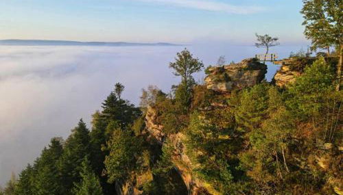Gîte Chez Reine Calme et confort dans les Vosges - Foto 2, Other