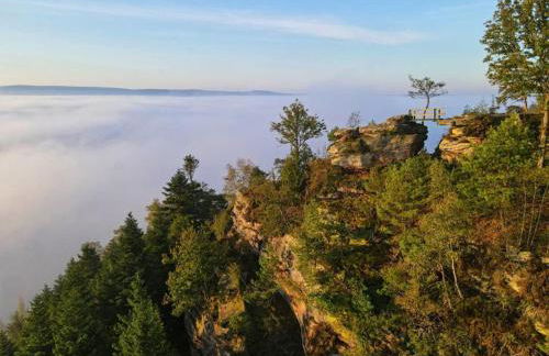 Gîte Chez Reine Calme et confort dans les Vosges - Foto 2