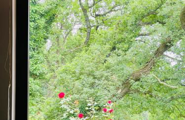 San Biagio - Foto 21