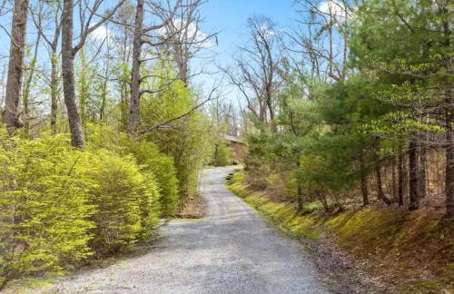 Scenic Solitude at Cabins in the Clouds - Foto 30