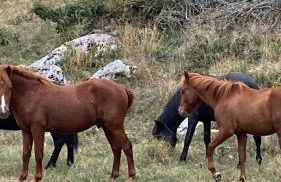 HEAVEN HOUSE - Photo 34