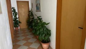 Apartments San Giorgio - Foto 2