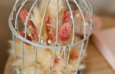 L'arbre de soie Futuroscope Albizia - Foto 32