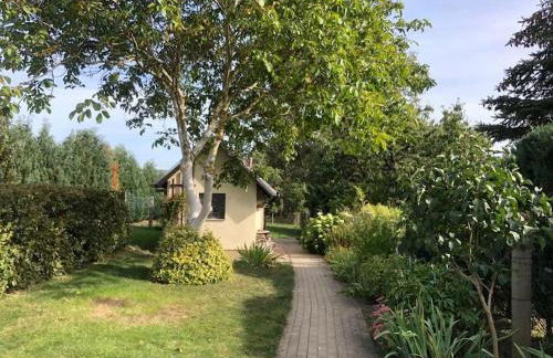 Freistehendes 4-Sterne Ferienhaus in der Uckermark - Foto 23