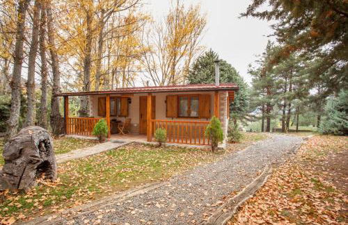 Apartamentos Turísticos Matagacha - Foto 24