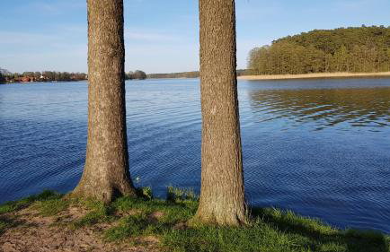 Domek Jabłonka - Foto 30