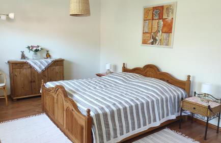 Küstenblüte - Foto 17