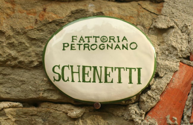 Fattoria Gambaro di Petrognano - Foto 49