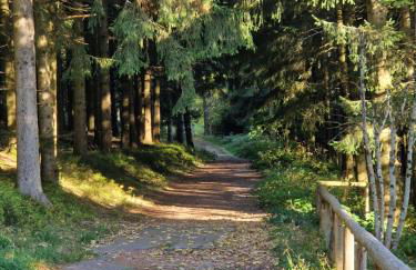 Foresty Appartement - Foto 23