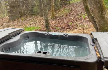 Airstream w Bathtub, River, & Hot Tub - Foto 39