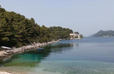 Studio apartment Dragana - Foto 16