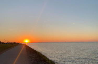 KüstenMuschel - Foto 43