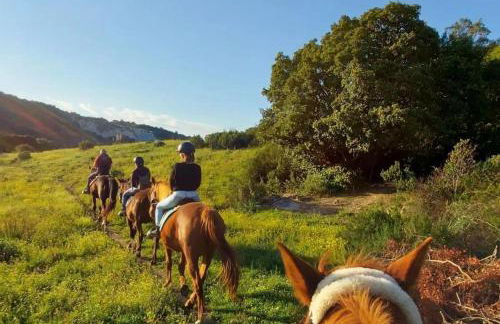 La Casa dei Nonni - Photo 49