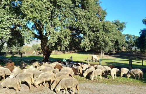 Casa da Vinha - Foto 42